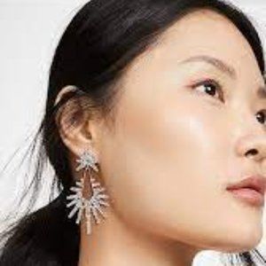 Elizabeth Cole REMINGTON earrings!